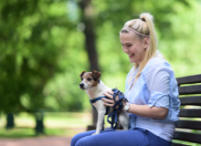 Stráženie zvieratiek